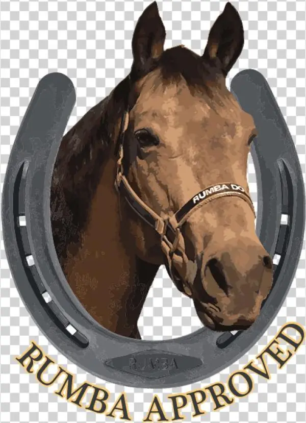 Rumba's Weekly Pasture Picks - Carolina Beach