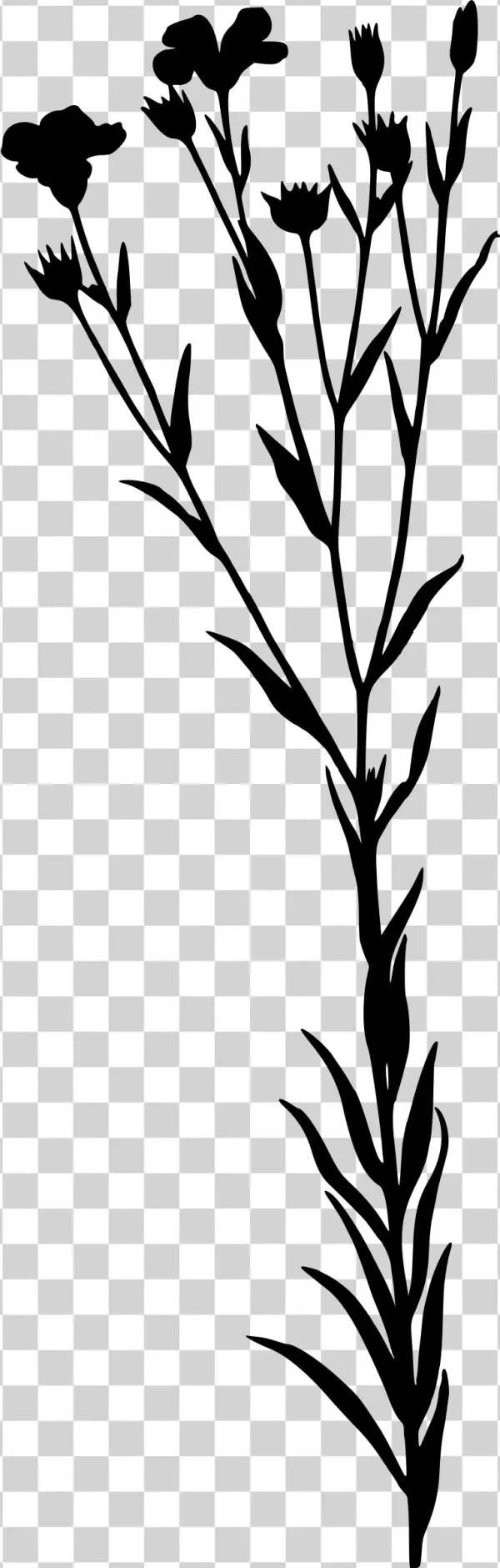 This Free Icons Png Design Of Linseed