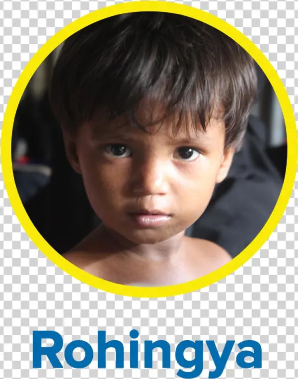 Unhcr Microsite Icons Rohingya