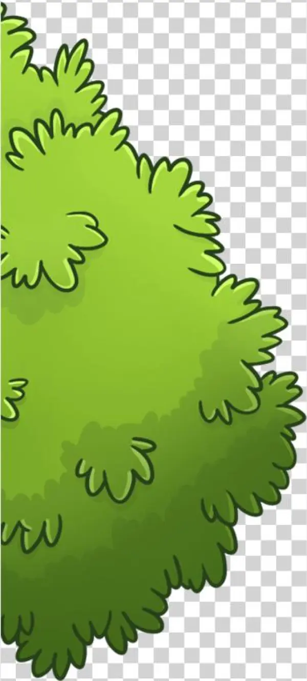 Arboles Png Para Renders
