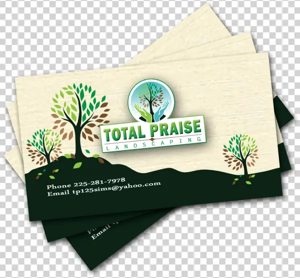 Business Cards Full Color 2 Sides