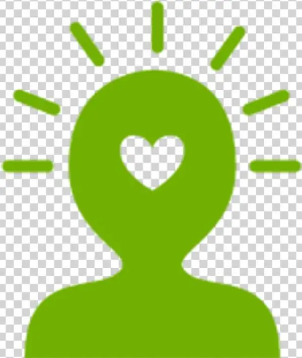 Interactive Training Programs Learning