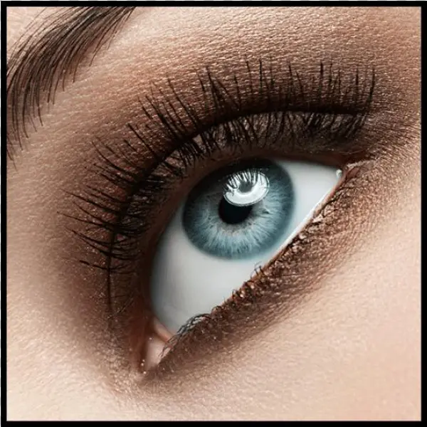 Makeup Clipart Png