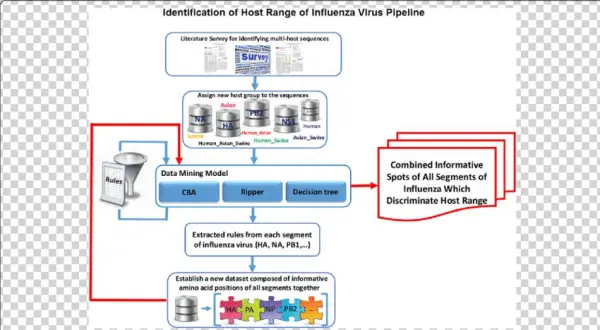 The Pipeline Of Identification Influenza Host Ranges