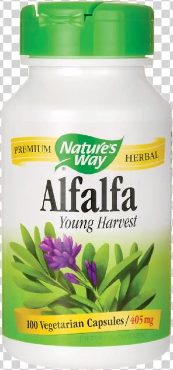 Alfalfa V=1497802868