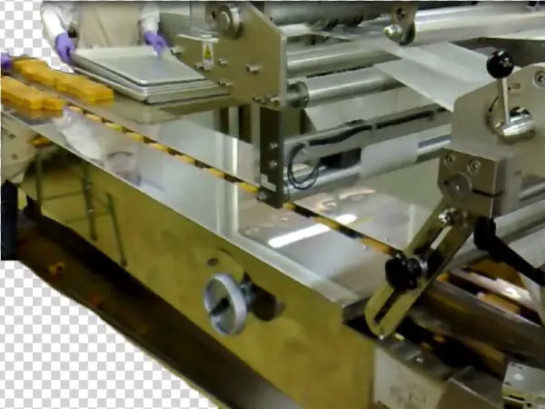 Automated Equipment For Pineapple Cake