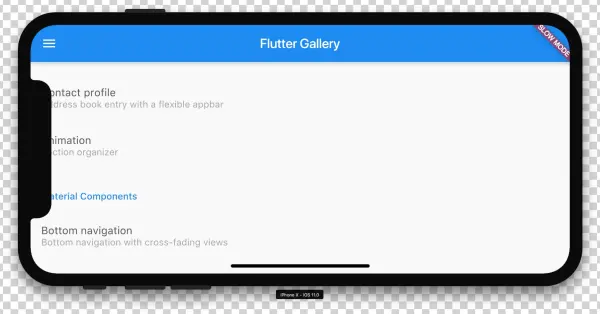 Flutter Doctor