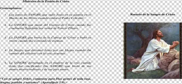 Gotas De Sangre Png