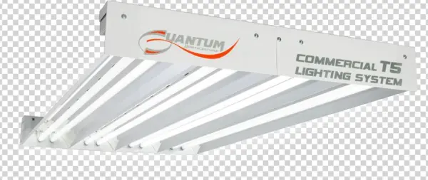 Quantum Massive Reflector