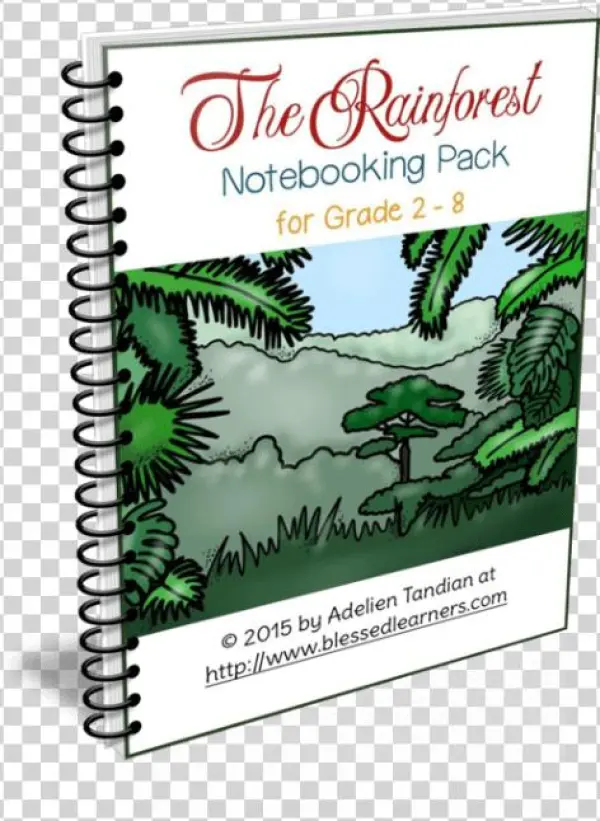 Rainforest Notebooking Pack