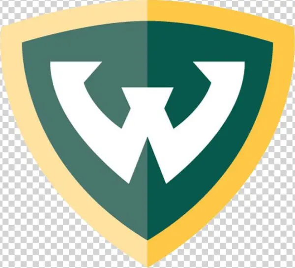 Shield Png Logo