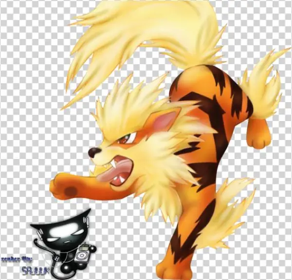 Arcanine Photo Arcanine