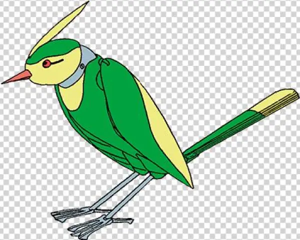 Birdy