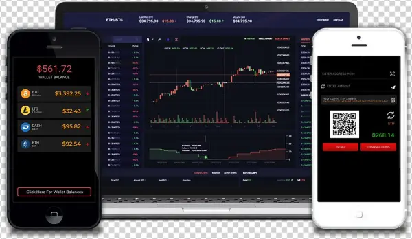 Cryptocurrency Exchange Development Services