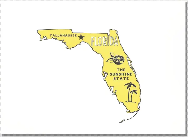 Florida State Print
