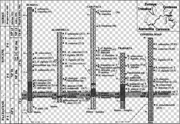 Lithology, Calcareous Nannofossil And Foraminiferal