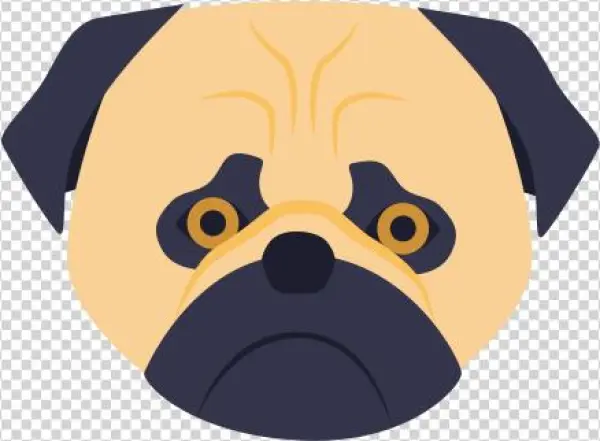 Small Dogs