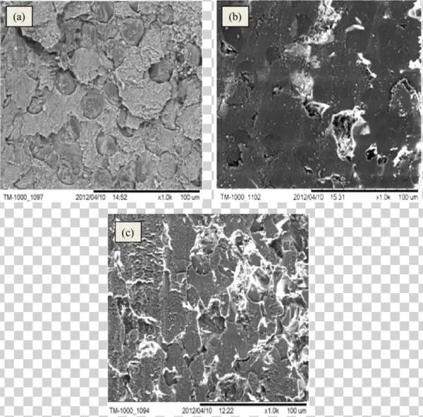Worn Surface Of Ugpk At Glass Fibers Region Tested