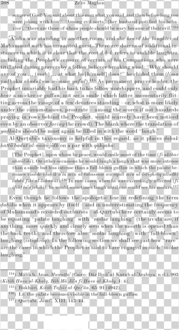 308 Ze Ev Maghen Senger Of God You Said About This