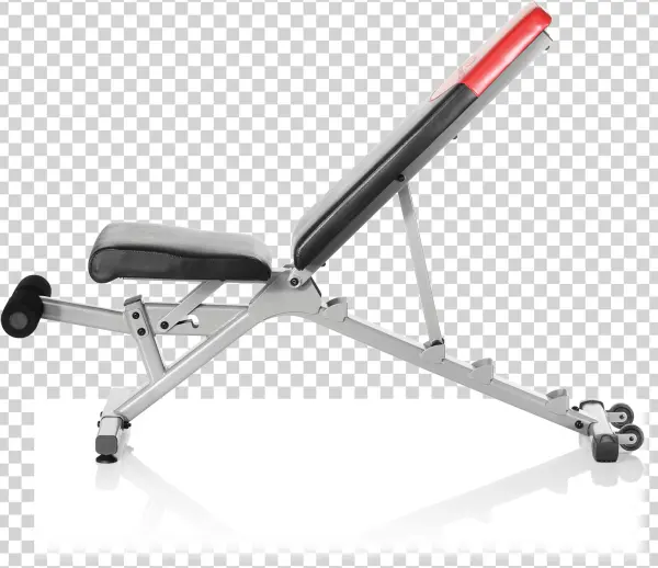 Bowflex Selecttech