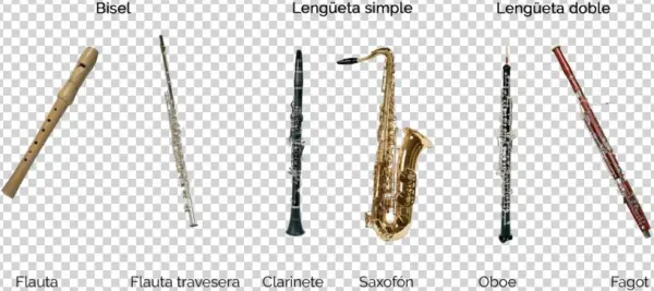 Instrumentos Viento Los Musicales