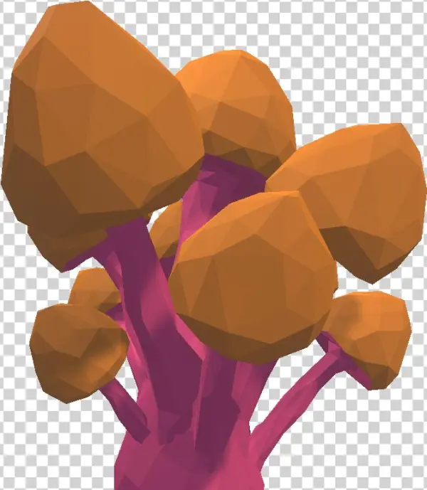 Portrait Hydrashroom1