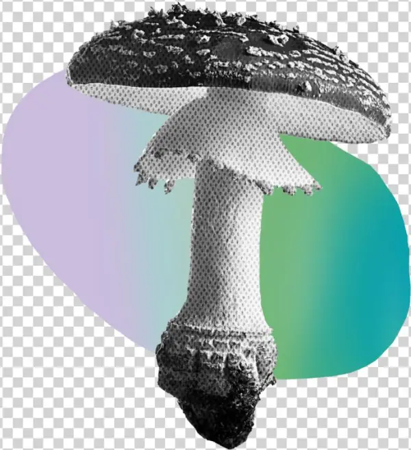 Shroom