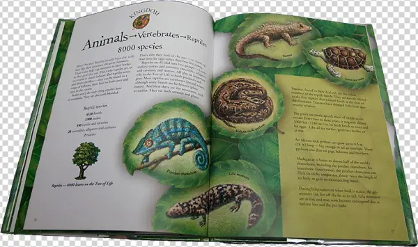 Species Children's Book Review