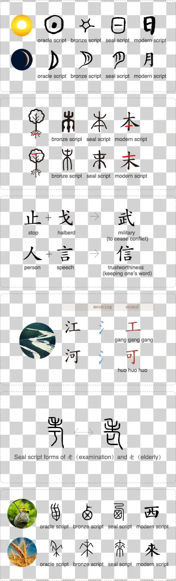 Analysing The Form Of 來