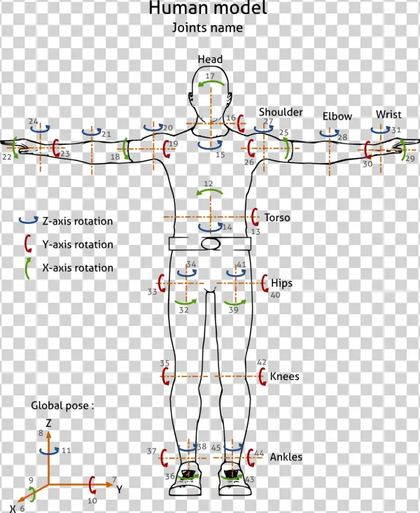 Configuration Parameters For Human Posture ¶