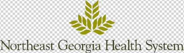 New Hospital, New State Patrol Post For Ne Ga