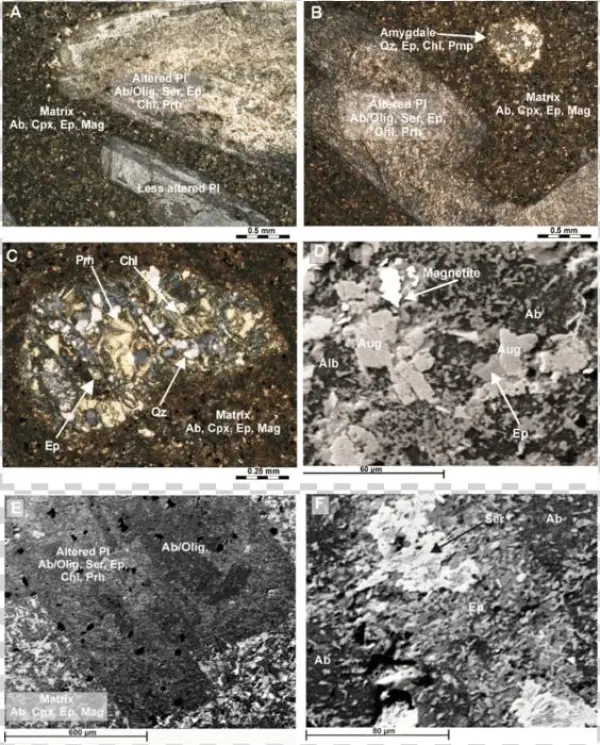 Photomicrographs And Back-scattered Electron Images