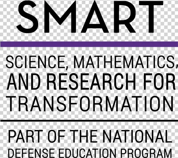 Smart Logo The Dod Logo