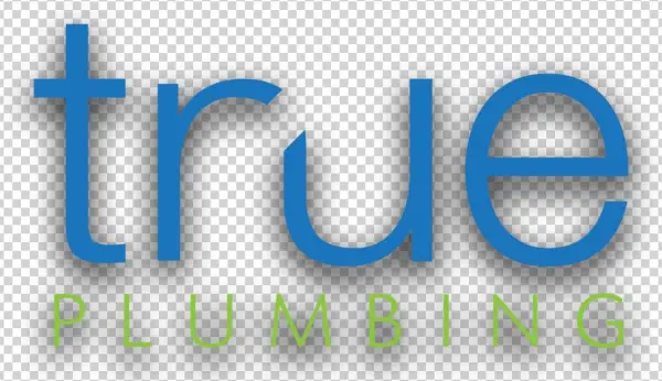 True-logo