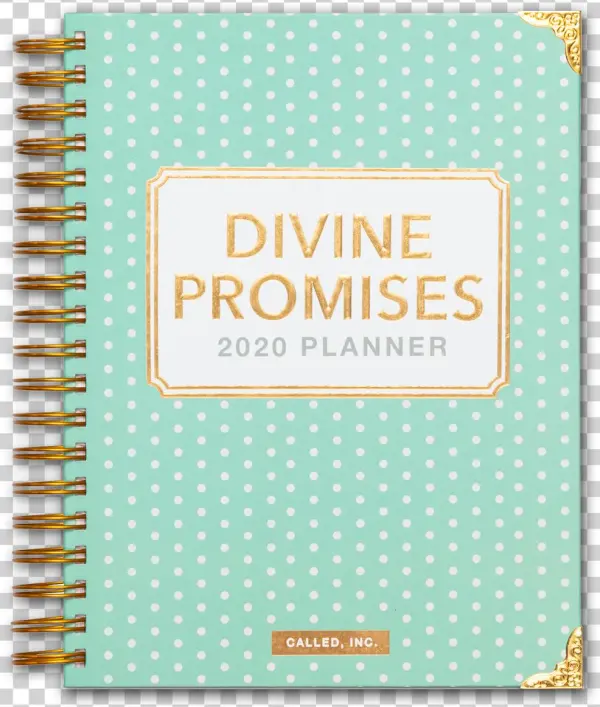 Why It's Divine