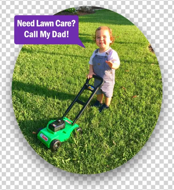 You Will Receive The Absolute Best Lawn Care Service