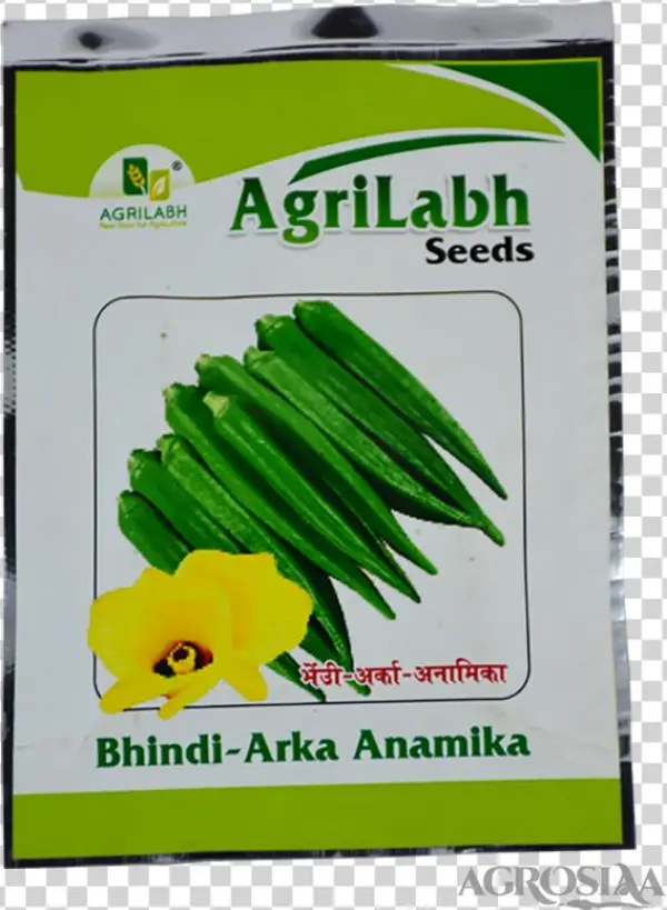 Agrilabh - Yellow Onion