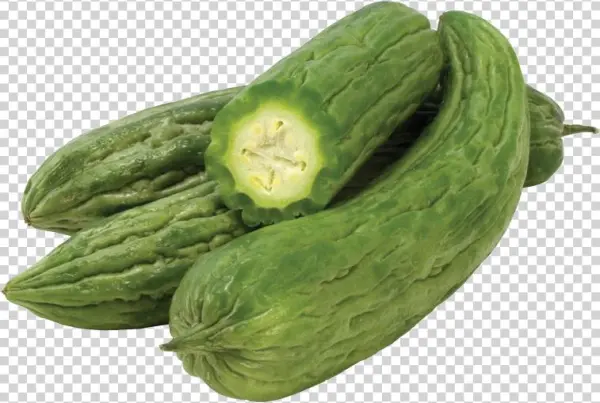 Bittermelon Png