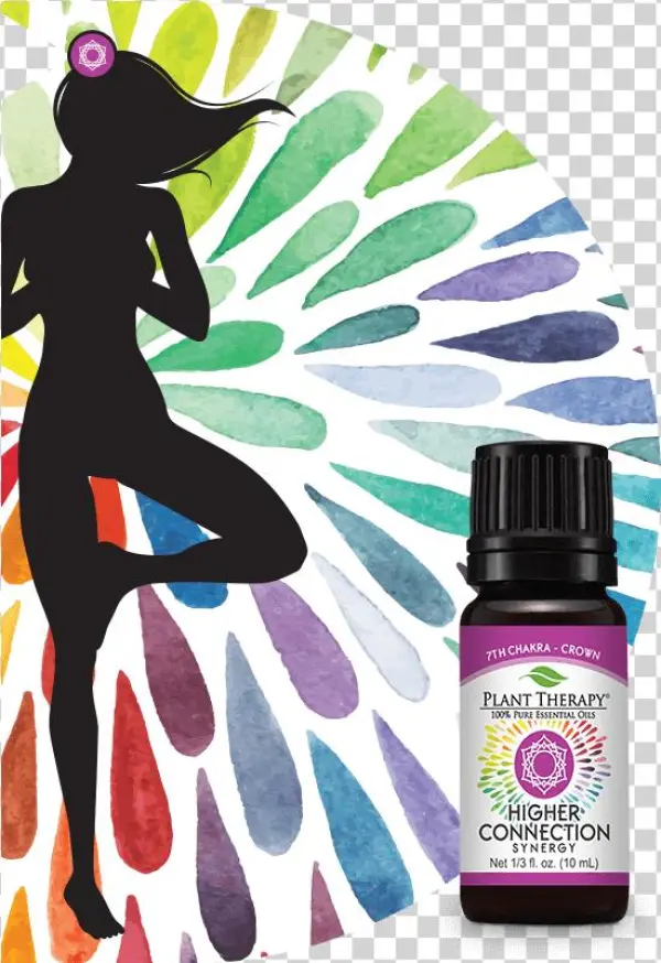 Chakras Section Purple - Illustration