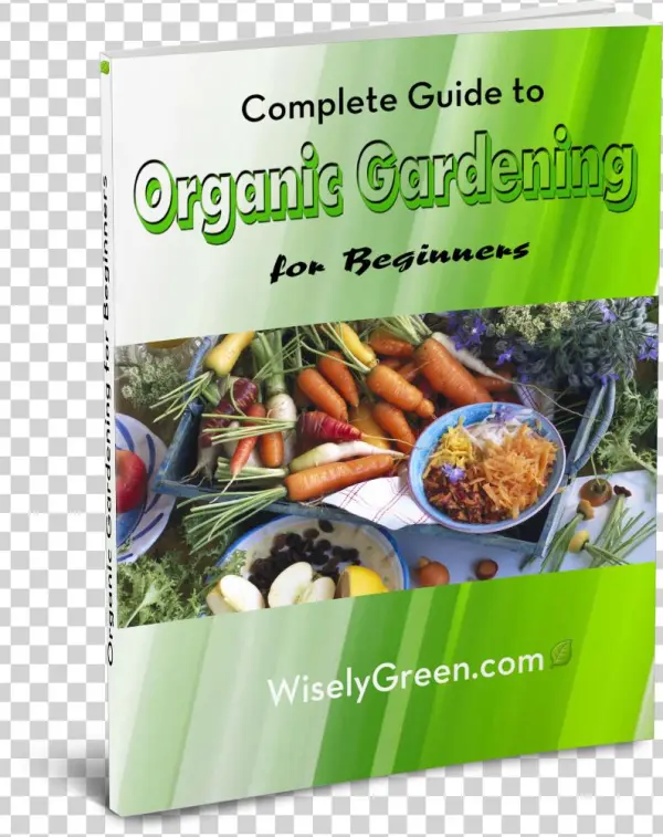 Click On Free Ebook And Download Today - Superfood