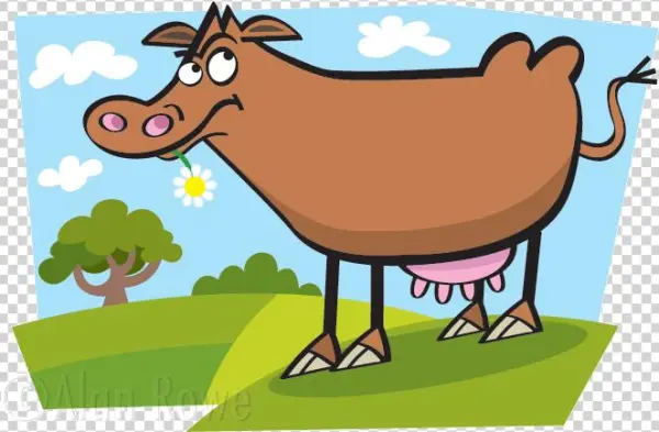 Cow Cartoon - Cartoon