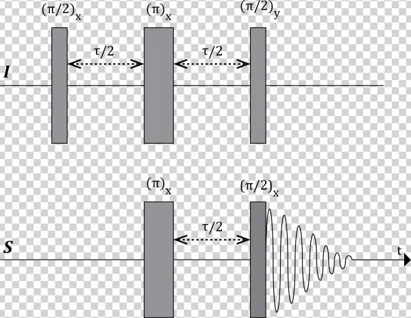 Inept Pulse Sequence - Inept Nmr