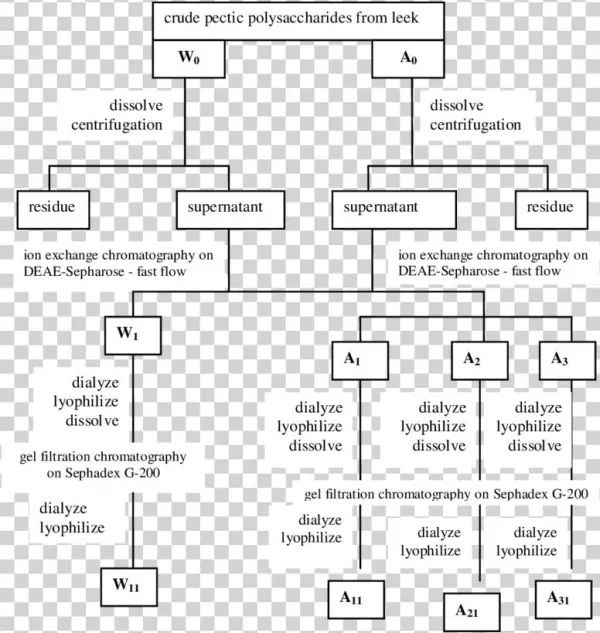 Purification Procedure Of Anti-complementary Pectic - Monochrome
