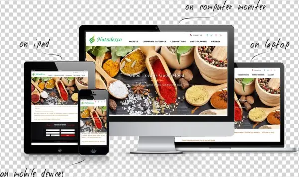 Responsive Web Design - Wi-fi