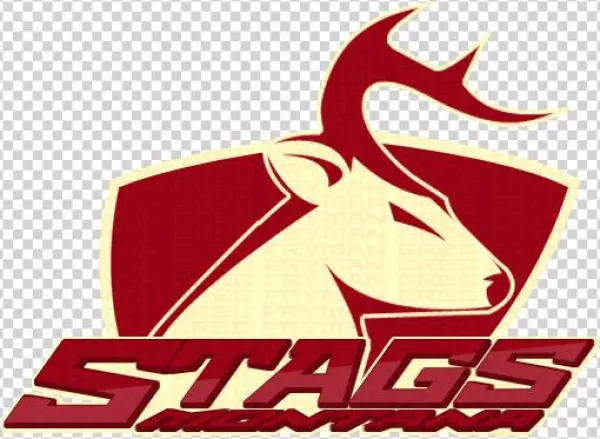 Stags-4 - Illustration