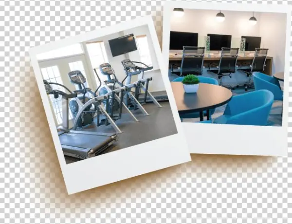 Amenities - Interior Design