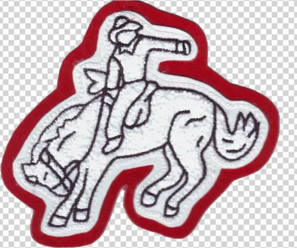 Bronco - Stallion