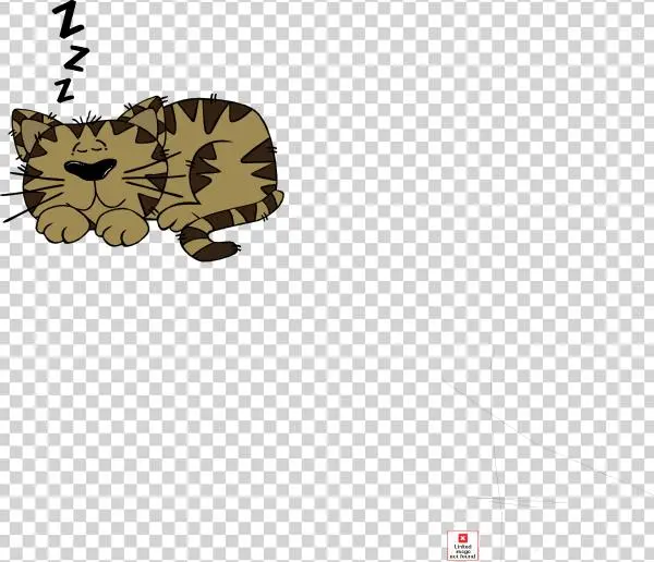 Cartoon Cat