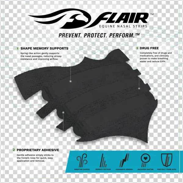 Flair® Equine Nasal Strips