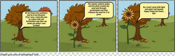 Maddies Storyboard - Cartoon